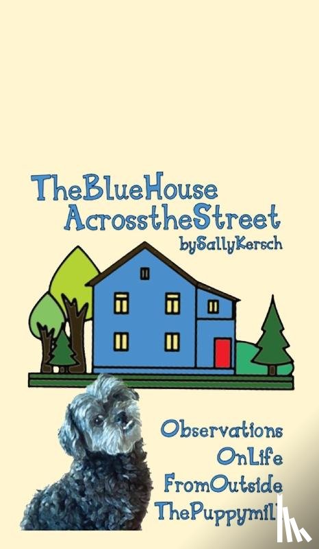 Kersch, Sally - The Blue House Across the Street