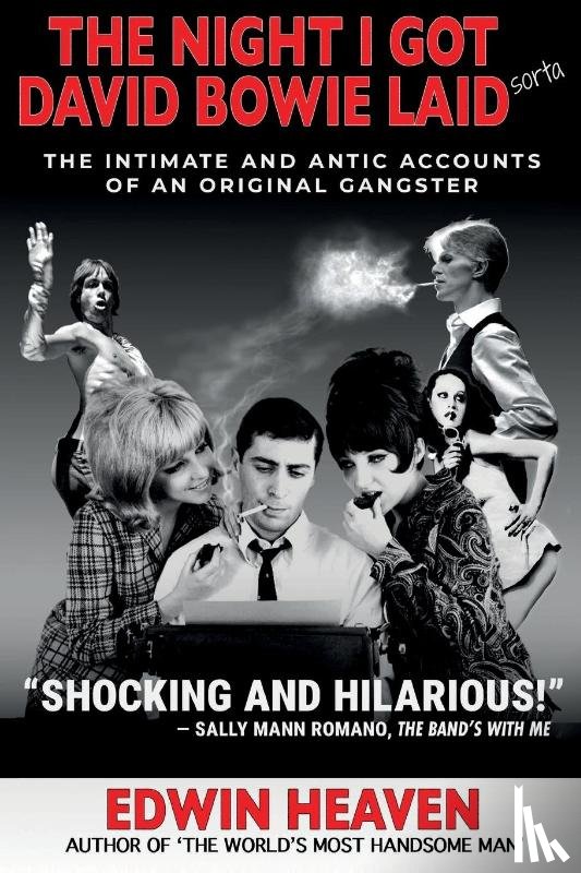 Heaven, Edwin - THE NIGHT I GOT DAVID BOWIE LAID (SORTA)