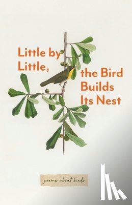 Paris Morning Publications - Little By Little, The Bird Builds Its Nest