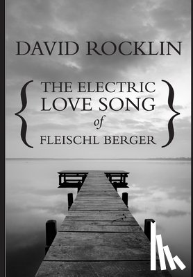 Rocklin, David - The Electric Love Song of Fleischl Berger