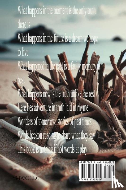 Earle, Winston - STICKS AND STONES AND SMALL FISH BONES