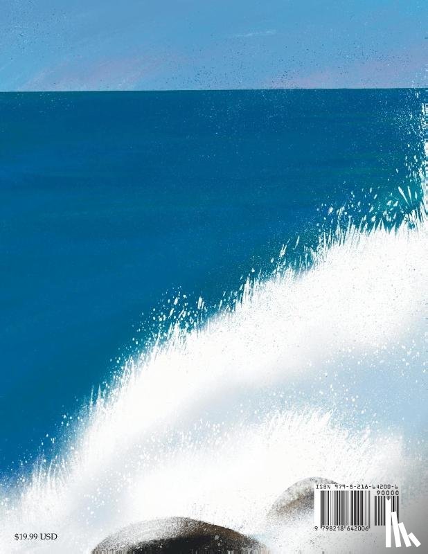 Mehta, Foram - Little Ripples, Big Waves