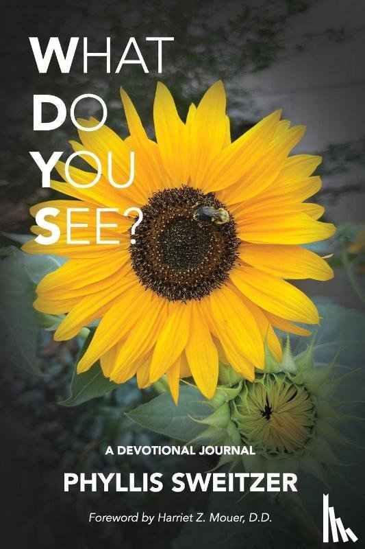 Sweitzer, Phyllis - What Do You See?