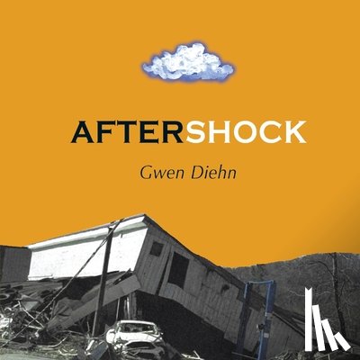 Diehn, Gwen - AfterShock