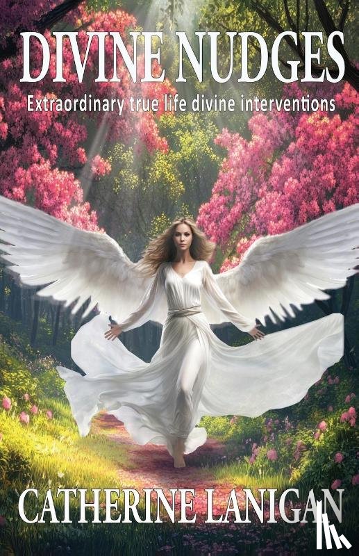 Lanigan, Catherine - Divine Nudges