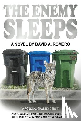 Romero, David A. - The Enemy Sleeps