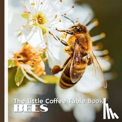 Design, Mehco - The Little Coffee Table Book: Bees: 75 fascinating facts, this beautifully designed book explores bee behavior, honey production, pollination, and the