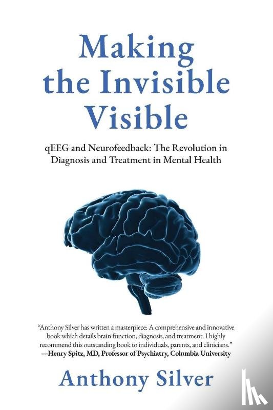 Silver, Anthony - Making the Invisible Visible