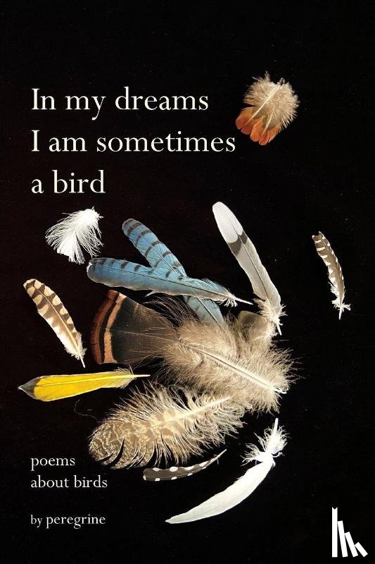 Peregrine - in my dreams I am sometimes a bird