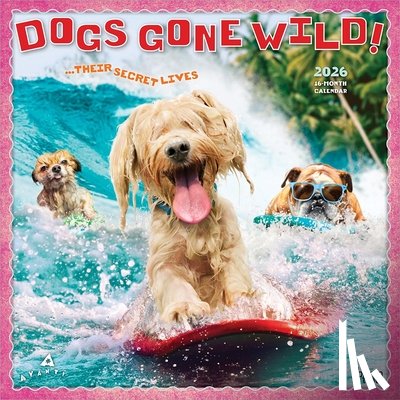 Browntrout - Avanti Dogs Gone Wild Official 2026 12 X 24 Inch (Hanging) Monthly Square Wall Calendar Plastic-Free