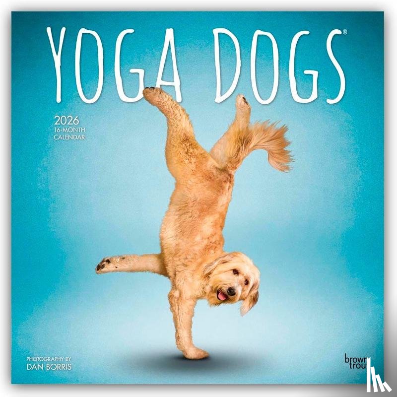 Publishers, Browntrout - Yoga Dogs - Hunde Yoga 2026 - 16-Monatskalender