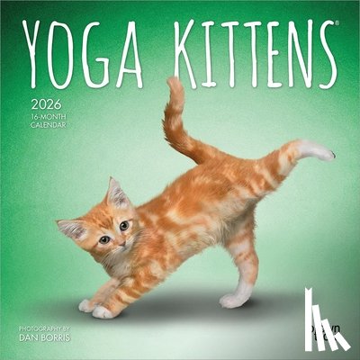 Browntrout - Yoga Kittens 2026 Mini 7x7 Calendar