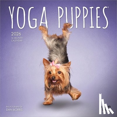 Browntrout - Yoga Puppies 2026 Mini 7x7 Calendar