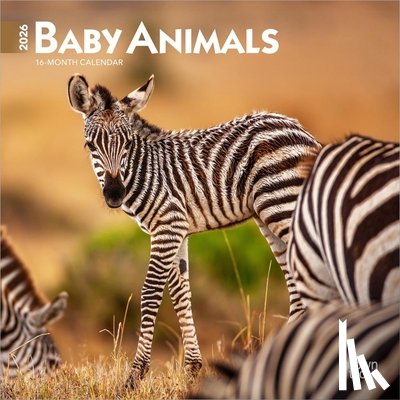 Browntrout - Baby Animals 2026 Mini 7x7 Calendar