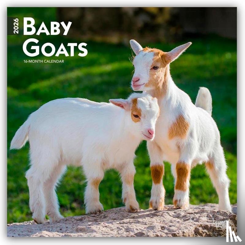Publishers, Browntrout - Baby Goats - Ziegenbabys 2026 - 16-Monatskalender