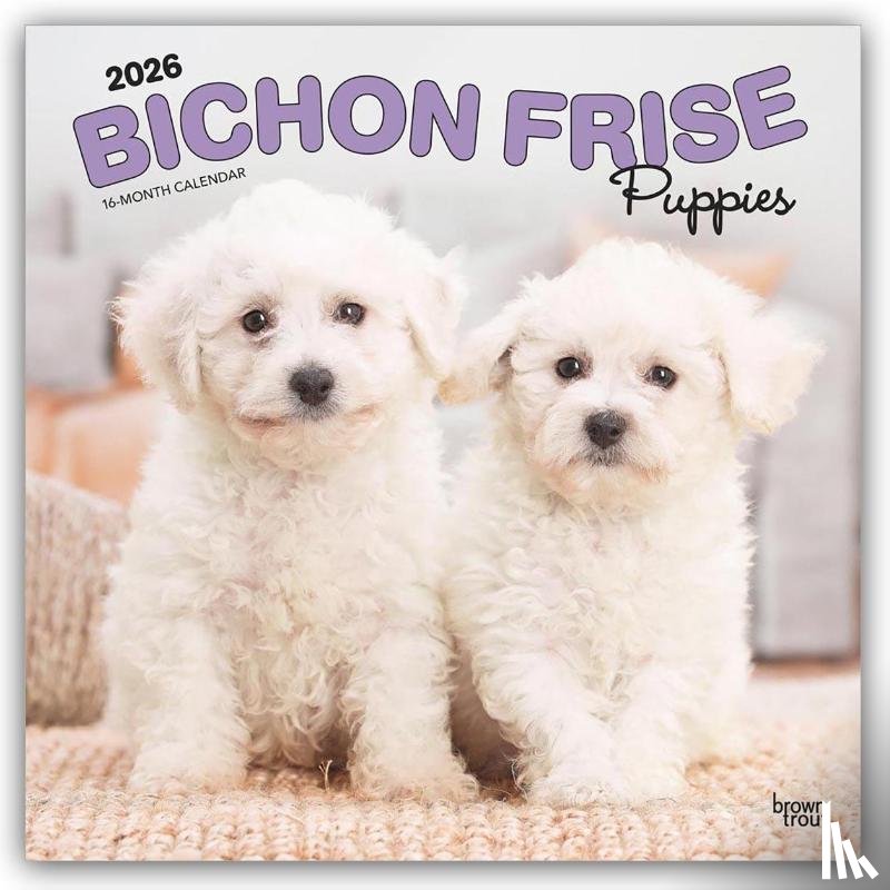 Publishers, Browntrout - Bichon Frise Puppies 2026 12 x 24 Monthly Square Calendar