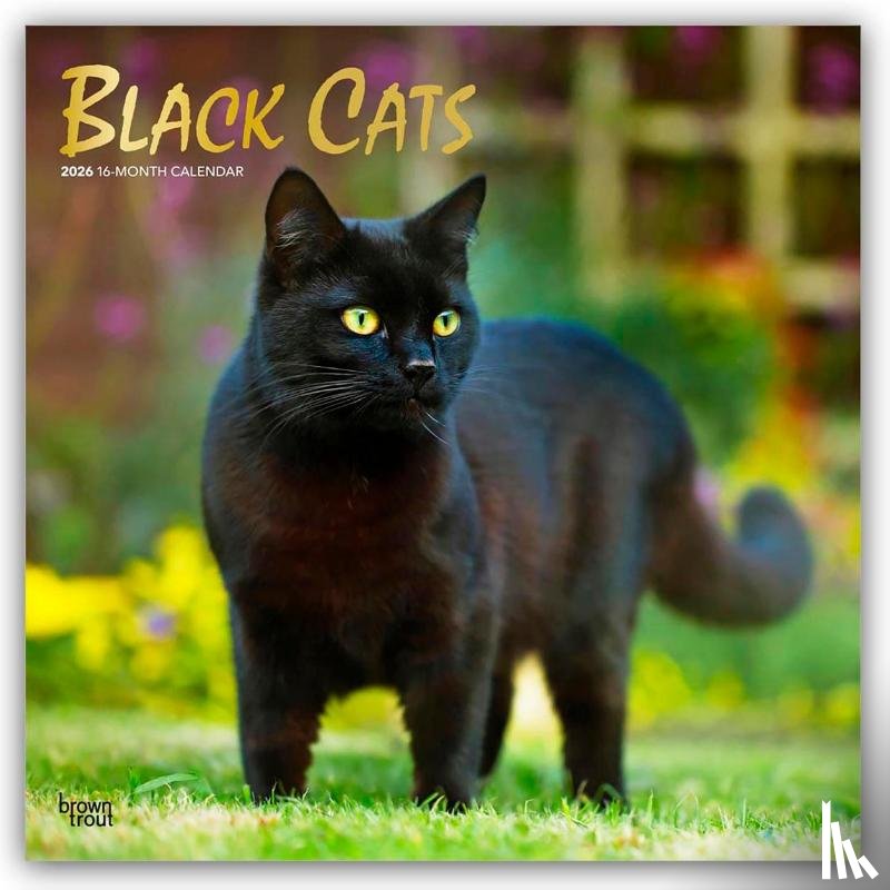Publishers, Browntrout - Black Cats - Schwarze Katzen 2026 - 16-Monatskalender