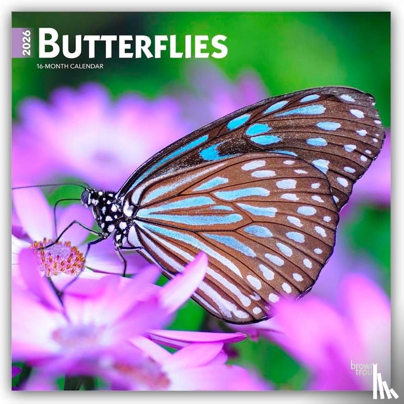Publishers, Browntrout - Butterflies - Schmetterlinge 2026 - 16-Monatskalender