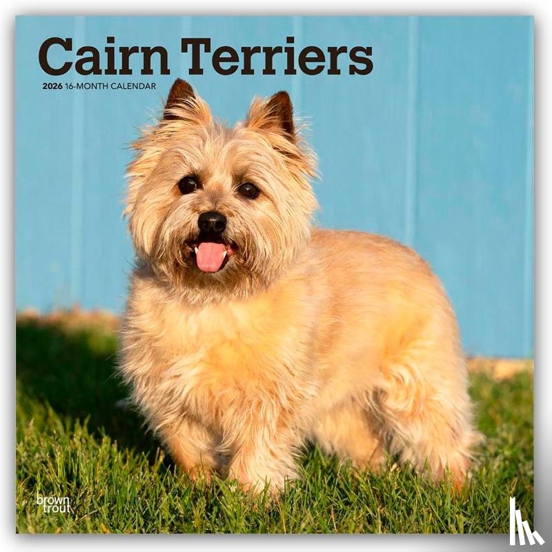 Publishers, Browntrout - Cairn Terriers 2026 Square Flap Calendar