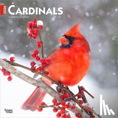 Browntrout - Cardinals 2026 12 X 24 Inch (Hanging) Monthly Square Wall Calendar Plastic-Free