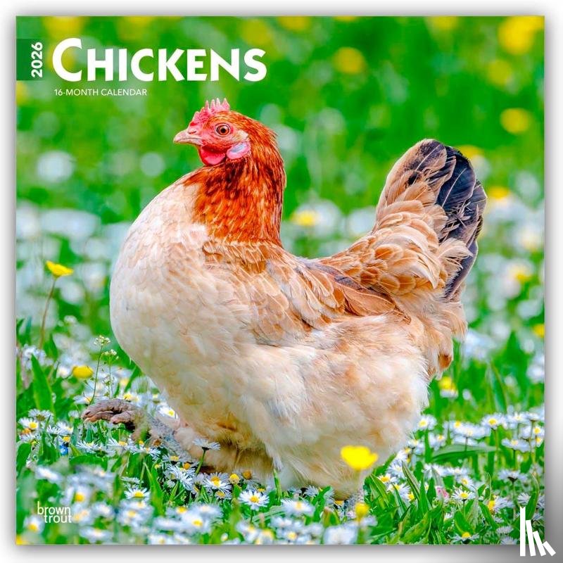 Publishers, Browntrout - Chickens - Hühner 2026 - 16-Monatskalender