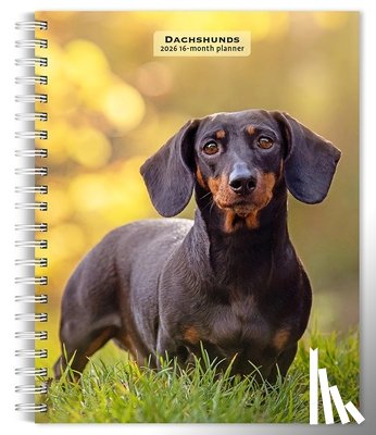 Browntrout - Dachshunds 2026 Engagement Diary