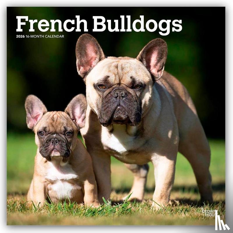 Publishers, Browntrout - French Bulldogs 2026 Square Flap Calendar