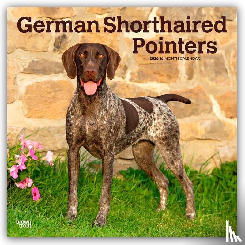 Publishers, Browntrout - German Shorthaired Pointers 2026 Square Flap Calendar