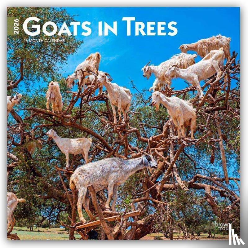 Publishers, Browntrout - Goats in Trees - Ziegen in Bäumen 2026 - 16-Monatskalender