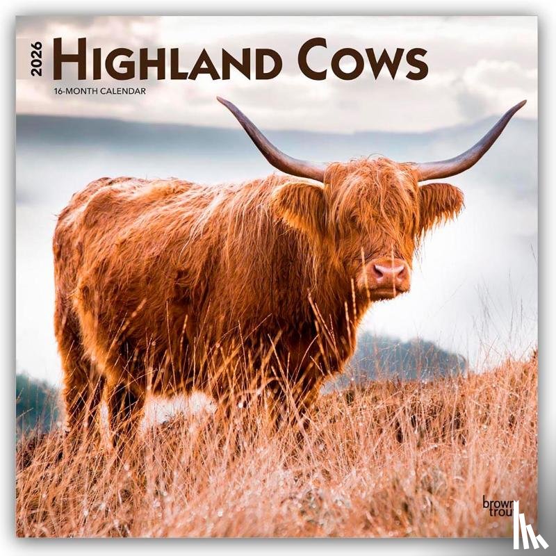 Publishers, Browntrout - Highland Cows - Hochlandrinder 2026 - 16-Monatskalender