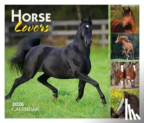 Browntrout - Horse Lovers 2026 6 X 5 Inch Daily Desktop Box Calendar New Page Every Day