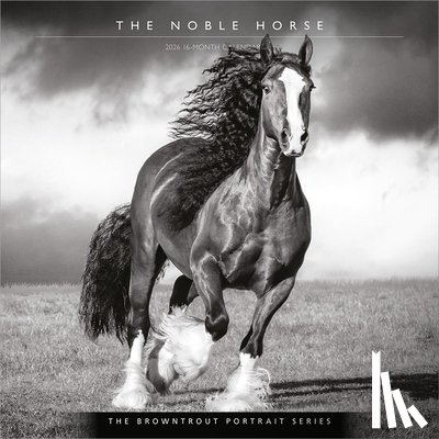 Browntrout - The Browntrout Portrait Series: The Noble Horse 2026 12 X 24 Inch (Hanging) Monthly Square Wall Calendar Plastic-Free