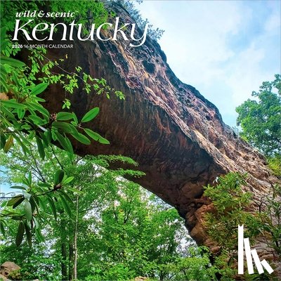 Browntrout - Kentucky Wild & Scenic 2026 12 X 24 Inch (Hanging) Monthly Square Wall Calendar Plastic-Free