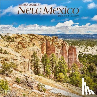 Browntrout - New Mexico Wild & Scenic 2026 12 X 24 Inch (Hanging) Monthly Square Wall Calendar Plastic-Free