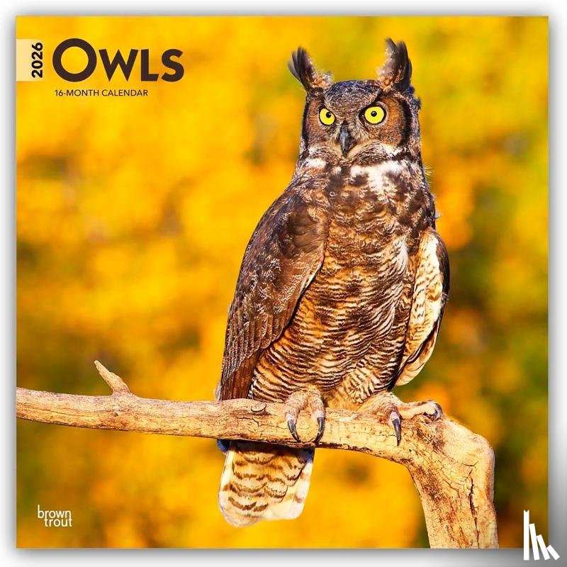 Publishers, Browntrout - Owls - Eulen 2026 - 16-Monatskalender