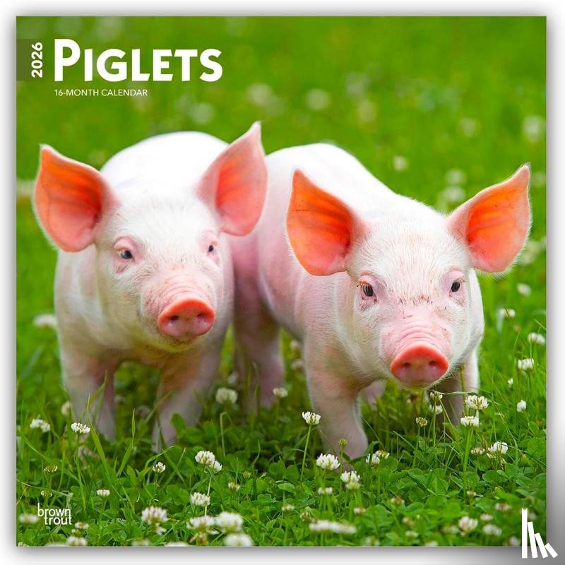 Publishers, Browntrout - Piglets - Ferkel 2026 - 16-Monatskalender