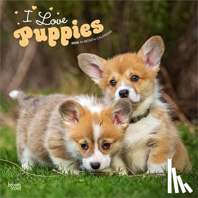 Browntrout - I Love Puppies 2026 12 X 24 Inch (Hanging) Monthly Square Wall Calendar Plastic-Free