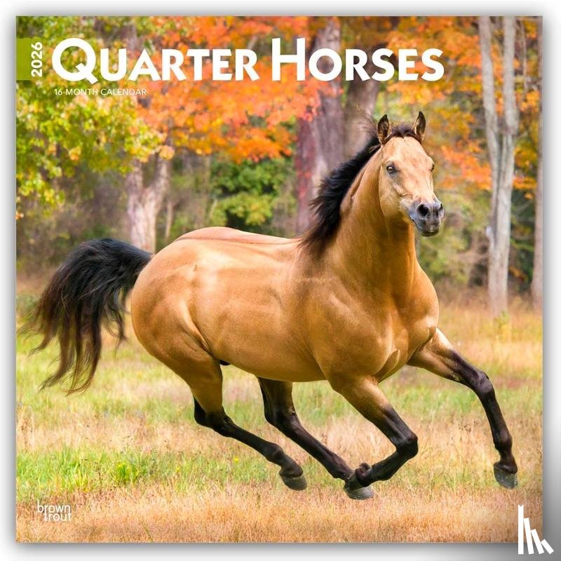 Publishers, Browntrout - Quarter Horses - Quarter Horse 2026 - 16-Monatskalender