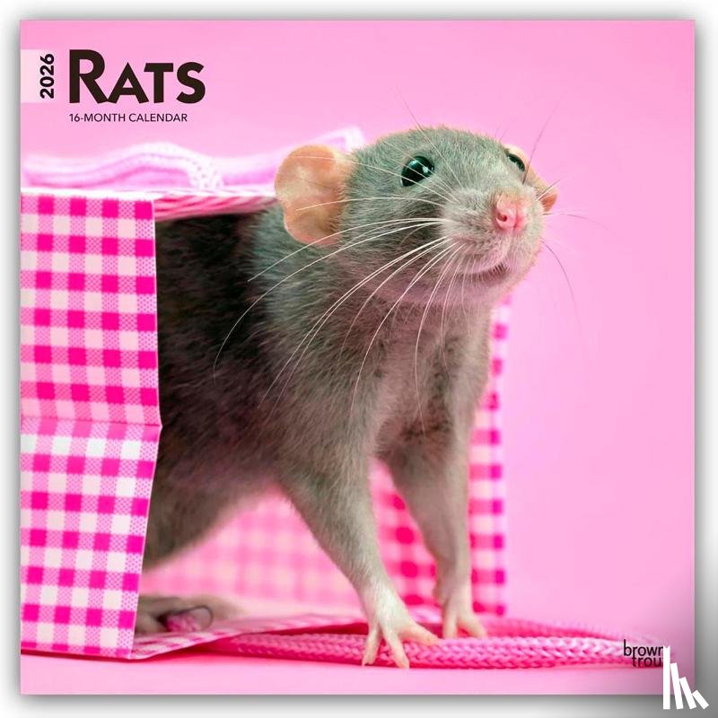 Publishers, Browntrout - Rats 2026 Square Flap Calendar
