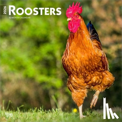 Browntrout - Roosters 2026 12 X 24 Inch (Hanging) Monthly Square Wall Calendar Plastic-Free