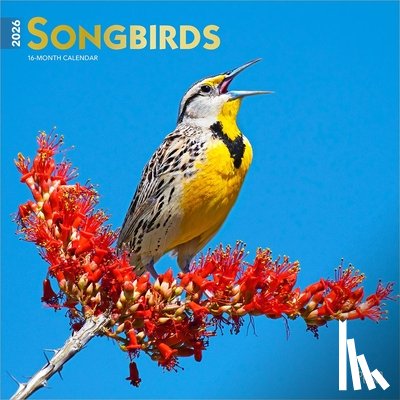 Browntrout - Songbirds 2026 12 X 24 Monthly Square Wall Foil Calendar
