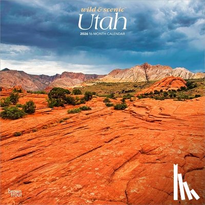 Browntrout - Utah Wild & Scenic 2026 12 X 24 Inch (Hanging) Monthly Square Wall Calendar Plastic-Free