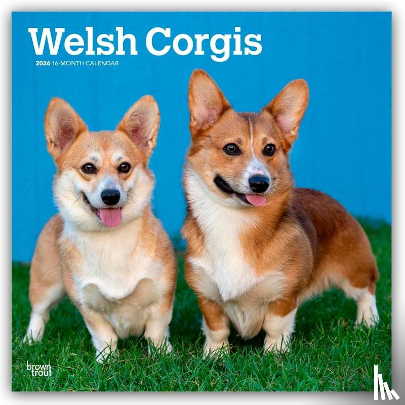 Publishers, Browntrout - Welsh Corgis 2026 Square Flap Calendar