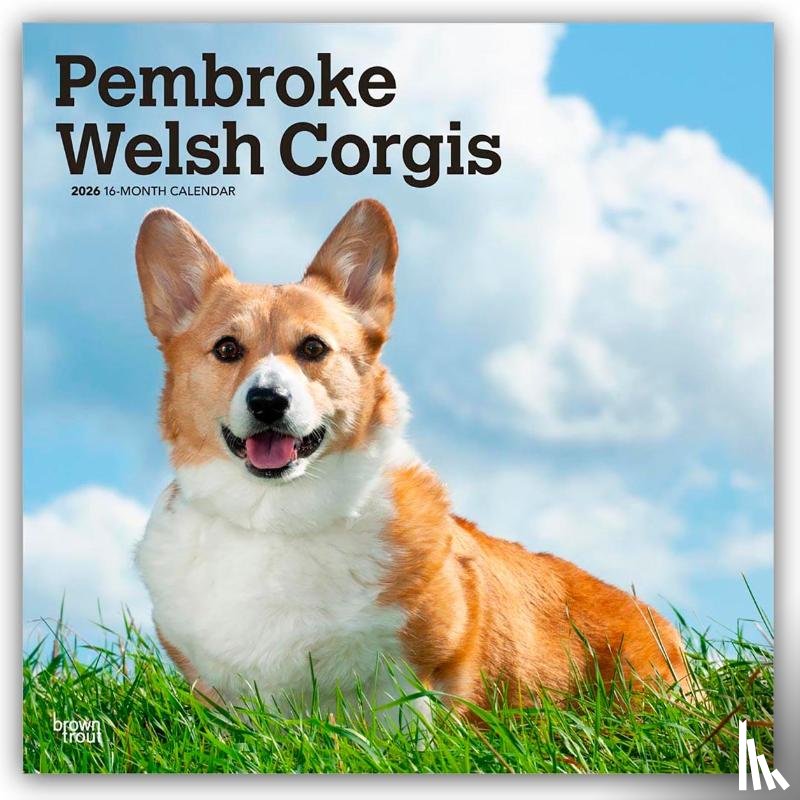 Publishers, Browntrout - Pembroke Welsh Corgis - Pembroke Welsh Corgi 2026 - 16-Monatskalender