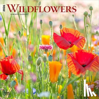 Browntrout - Wildflowers 2026 12 X 24 Inch (Hanging) Monthly Square Wall Calendar Plastic-Free