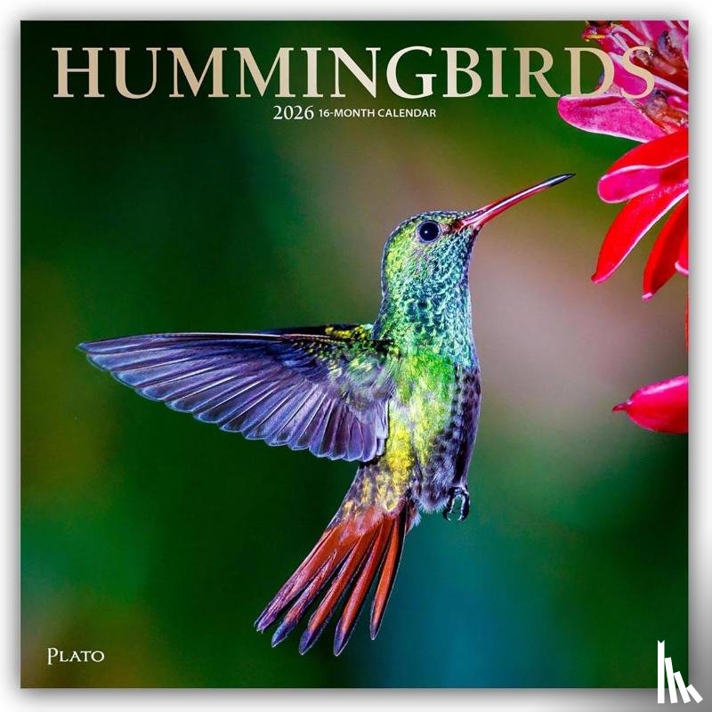 Publishers, Browntrout - Hummingbirds 2026 Square Plato Foil Calendar