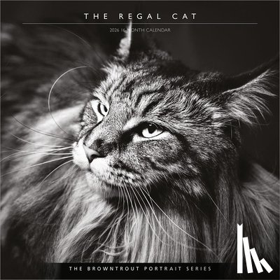 Browntrout - The Browntrout Portrait Series: The Regal Cat 2026 12 X 24 Inch (Hanging) Monthly Square Wall Calendar Plastic-Free