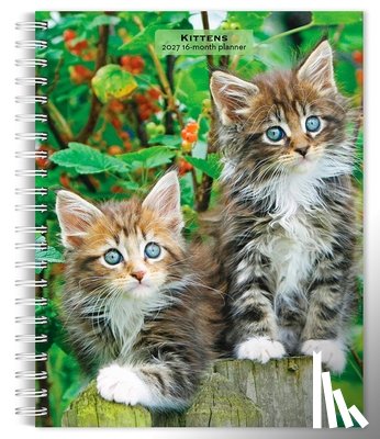 Browntrout - Kittens 2027 6 X 7.75 Inch Spiral-Bound Wire-O Weekly Engagement Planner Calendar New Full-Color Image Every Week
