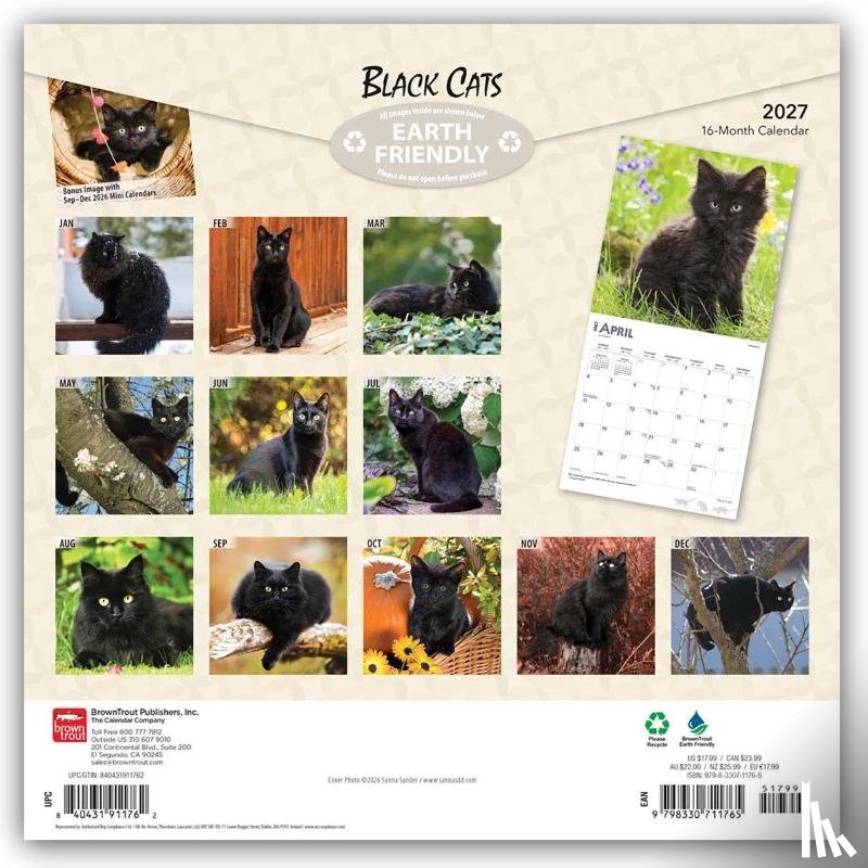 Browntrout - Black Cats 2027 12 X 24 Inch (Hanging) Monthly Square Wall Calendar Foil Stamped Cover Plastic-Free