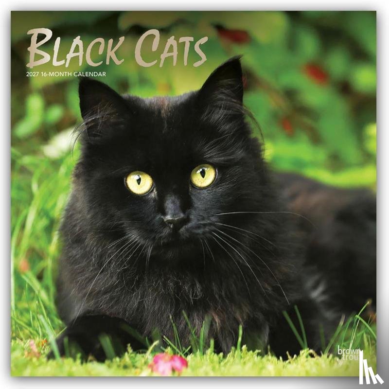 Browntrout - Black Cats 2027 12 X 24 Inch (Hanging) Monthly Square Wall Calendar Foil Stamped Cover Plastic-Free